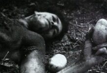 Taras, Fetiches e Outras Esquisitices