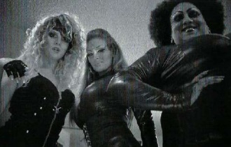 Travestis em Fúria