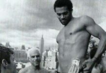 Violeta é Tendência